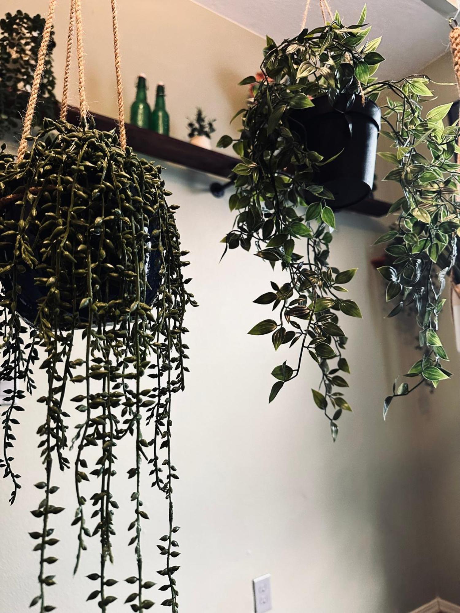 Mr. Mcgregor'S Garden Apartment Салем Екстериор снимка