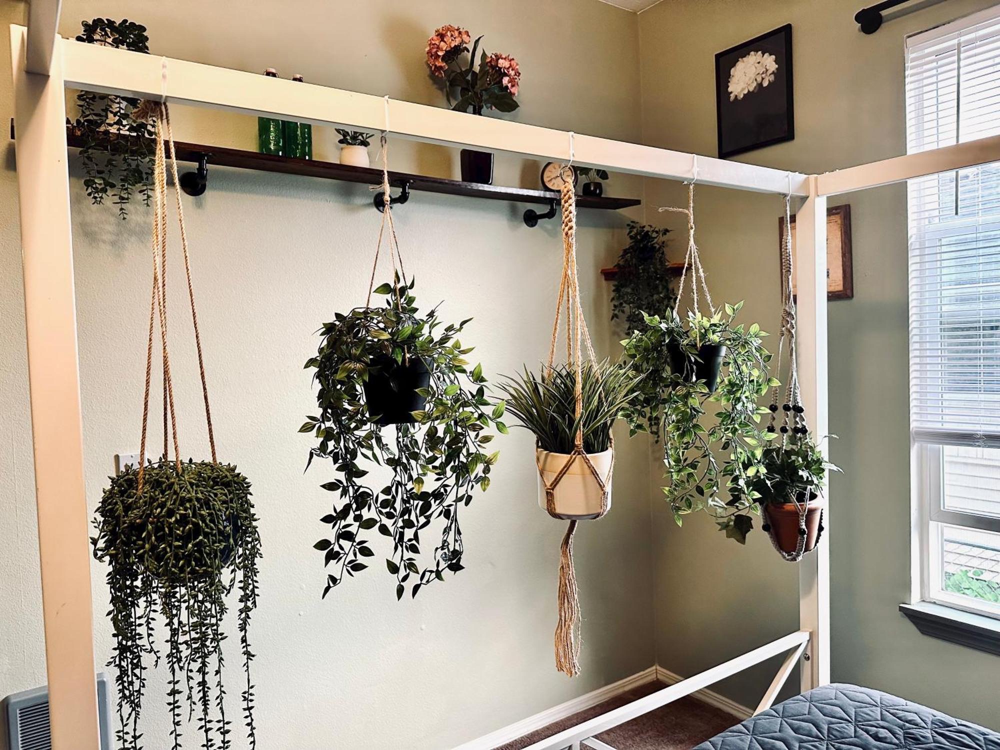 Mr. Mcgregor'S Garden Apartment Салем Екстериор снимка